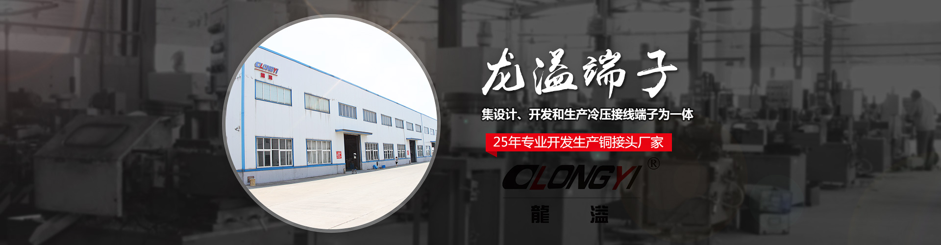 泰兴龙溢端子有限公司